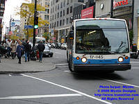 STM-17045-101308-01.jpg