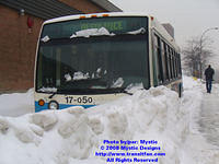 STM-17050-020508-02.jpg