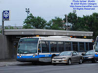 STM-17057-080609-01.jpg