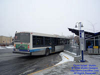 STM-17061-010209-01.jpg