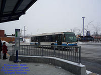 STM-17061-010209-02.jpg