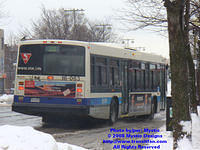 STM-16063-020508-01.jpg