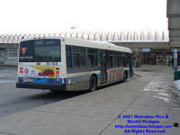 STM-16108-031207-01.jpg