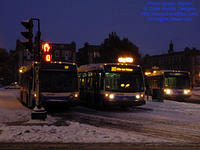 STM-MTROYAL-010209-01.jpg