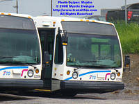 STO-0319-060207-01.jpg