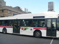 S6300716.JPG