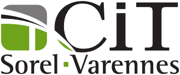 File:CITSV Logo.png