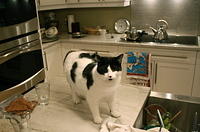 IMG 5519