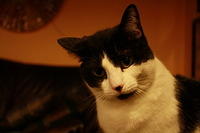 IMG 5594