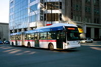 RTL buses