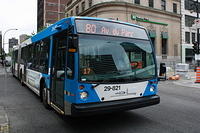 STM 29-831