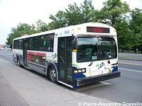 L9545