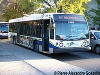 L9919