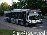 Novabus LFS 2004 (0401 à 0431) photos
