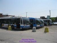 IMG 4008