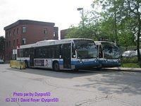 IMG 4039