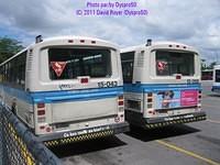 IMG 4072