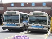 IMG 4075