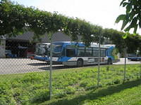 IMG 4160