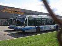 IMG 4161
