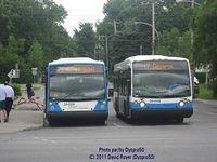 IMG 4172