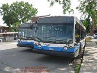 IMG 4192