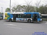 31-015