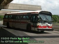 TTC Buses