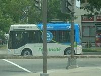 0891 (Écolobus)