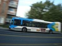 Nova Bus LFS 2010 (30-XXX)