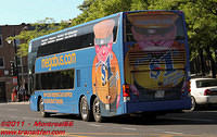MEGABUS-DD42459-02