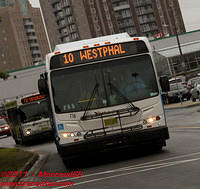 METROT-716-02082011-01