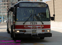 TTC-7229-24082011-02