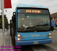 VIVA Photos