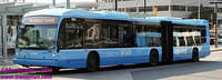 VIVA-1083-24082011-01