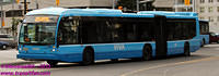 VIVA-1083-25082011-01