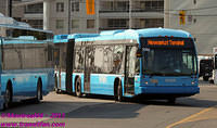 VIVA-1086-24082011-01