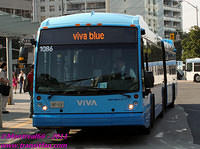 VIVA-1086-24082011-02