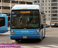VIVA-5160-25082011-03