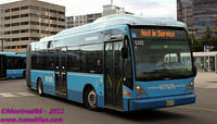 VIVA-5202-25082011-02