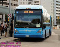 VIVA-5209-25082011-01