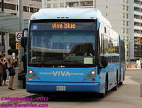 VIVA-5209-25082011-02