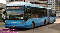 VIVA-5209-25082011-03