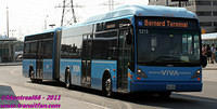VIVA-5213-24082011-01