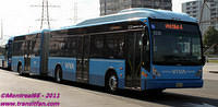 VIVA-5220-24082011-02