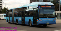 VIVA-5220-25082011-01