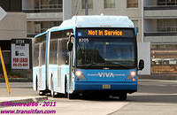 VIVA-8205-25082011-02