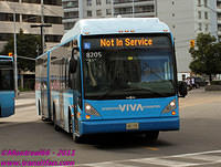 VIVA-8205-25082011-03