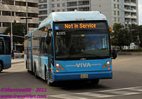 VIVA-8205-25082011-04