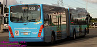 VIVA-8205-25082011-06